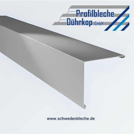 ORTGANG 150/100 SILBER