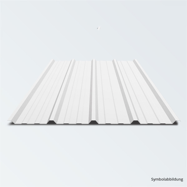 TRAPEZBLECH PROFIL 25/267 WEISSGRAU 2,00M